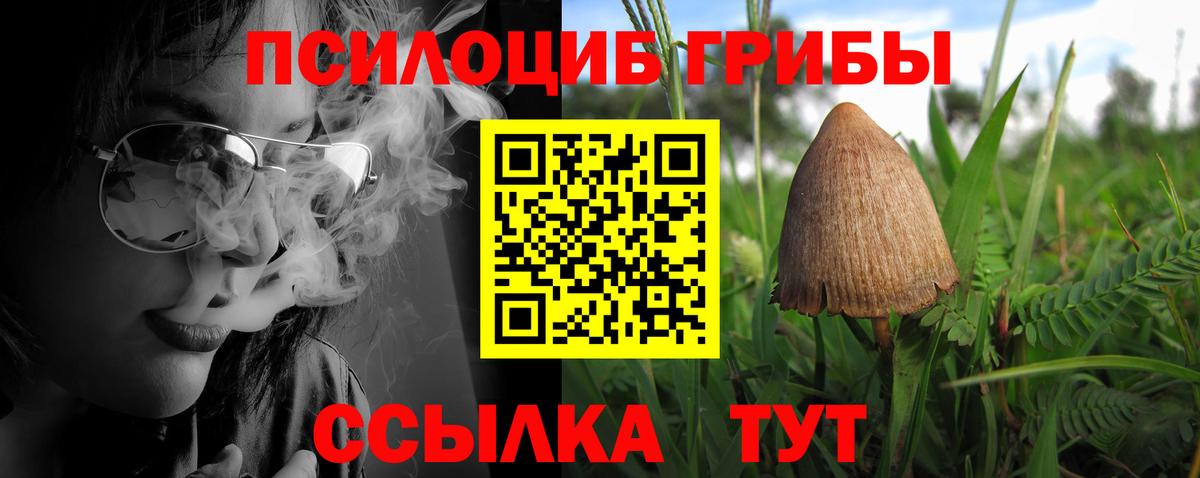 Галлюциногенные грибы Psilocybine cubensis Холмск